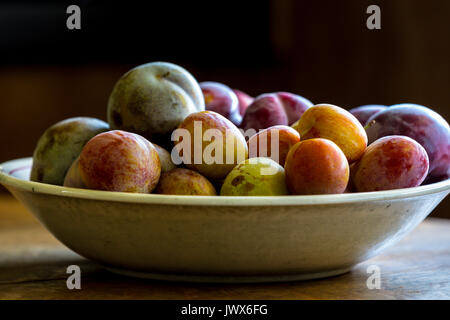 Baum gereifte heimische Gelbe, rote und grüne Pflaumen. Stockfoto