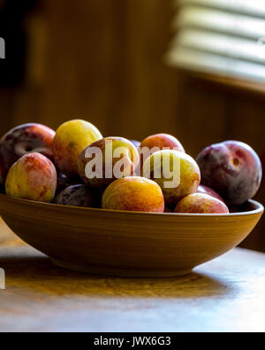 Baum gereifte heimische Gelbe, rote und grüne Pflaumen. Stockfoto