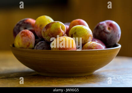 Baum gereifte heimische Gelbe, rote und grüne Pflaumen. Stockfoto