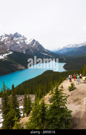 Die beeindruckenden blauen Gewässern des Peyto Lake im Banff Nationalpark der Kanadischen Rockies Alberta Kanada Stockfoto