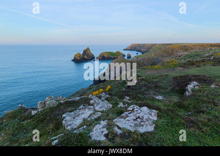 Dawn Licht über Kynance Cove in Cornwall. Stockfoto