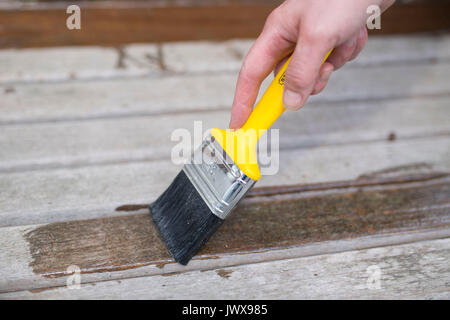 Schutzlack, der einer Holz- mit einem gelben Pinsel Bank angewendet. Stockfoto
