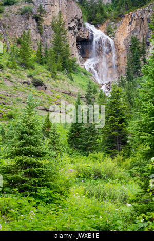 Ein Saisonaler Wasserfall über Felsen aus Granit Canyon der Teton Mountains ausgießen. Der Grand Teton National Park, Wyoming Stockfoto