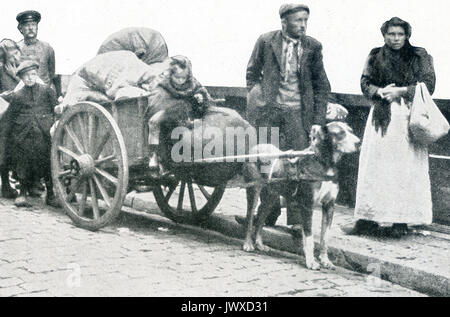 Die Bildunterschrift für dieses Foto aus den frühen Tagen des Ersten Weltkrieges liest: Alle, die von der Katastrophe gelassen wurde. Dieser Hund Warenkorb und ihre Inhalte waren alle, dass ein einst wohlhabenden Familie vor dem Ruin gerettet. Die Lage ist nicht erwähnt, aber es ist auf dem Kontinent - irgendwo von der französisch-deutschen Grenze. Stockfoto