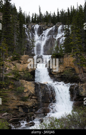 Die schöne Tangle Creek Falls auf dem Icefields Parkway in der Nähe von Jasper, Alberta, Kanada Stockfoto