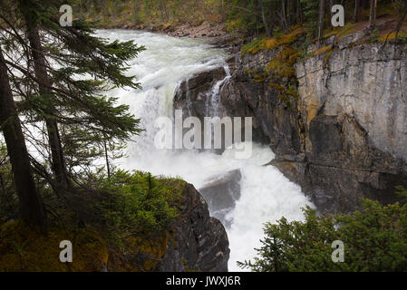 Die schöne Sunwapta fällt auf dem Icefields Parkway in Jasper National Park, Alberta, Kanada Stockfoto