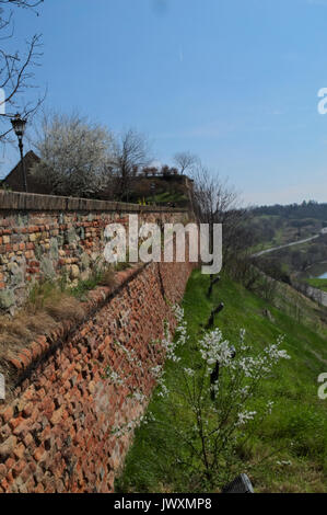 Mauer an der Festung Petrovaradin in Novi Sad, Serbien Stockfoto