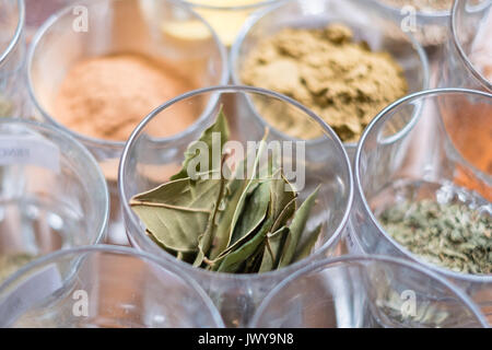 Viele verschiedene Gewürze im Glas auf dem Tisch Stockfoto
