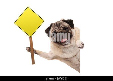 Lächelnd Mops Welpen Hund halten Leere gelbe Warnung, Zeichen, auf weißem Hintergrund Stockfoto