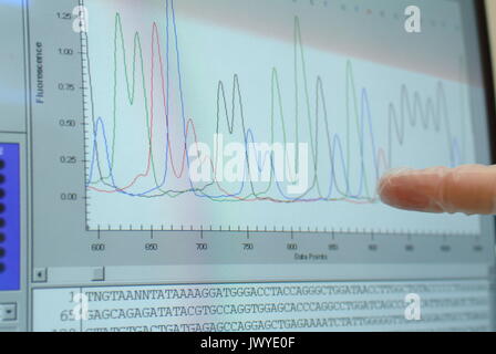 Labor-Assistentin analysiert der DNA-Sequenz auf dem computer Stockfoto