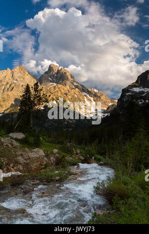 Die Kathedrale Gruppe der Teton Bergen hoch über der North Fork von Cascade Creek als Sturm Wolken über Pass. Der Grand Teton National Park, Wy Stockfoto