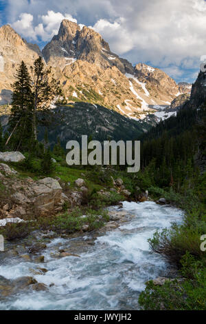 Die Grand Teton und Dom Gruppe von Teton Bergen hoch über der North Fork von Cascade Creek, wie es eilt in Richtung Cascade Canyon. Grand Tet Stockfoto