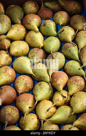 Winter Birnen auf einem Tablett auf einem Bauernmarkt in St. Albans, Hertforshire, UK; Gelb zu Grün, mit Stängel, in natürlichem Licht. Stockfoto