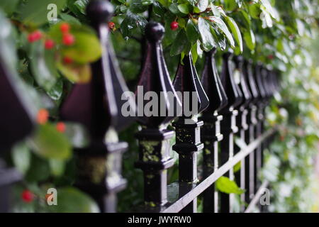 Schmiedeeiserne Geländer vor einem Glebe Garten, Ottawa, Ontario, Kanada. Stockfoto