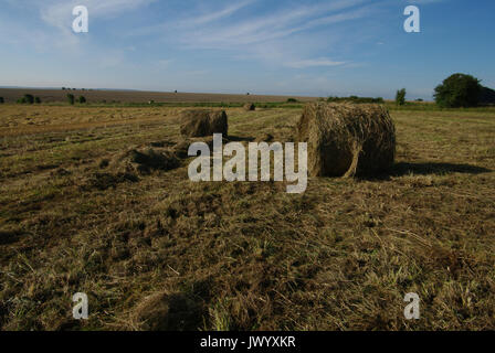 Chitterne, Salisbury, Wiltshire, UK Stockfoto