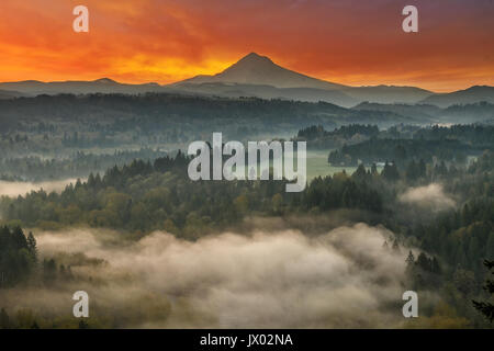 Mount Hood über Neblig Sandy River Valley an Jonsrud Sicht bei Sonnenaufgang Stockfoto