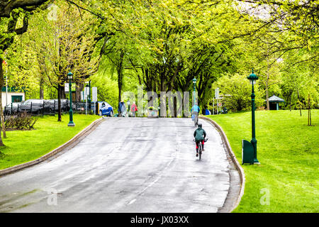 Quebec City, Kanada - 30. Mai 2017: Menschen auf Fahrrädern auf Straße in Plaines d'Abraham durch Grande Allee am Morgen während der regnerischen Tag Stockfoto
