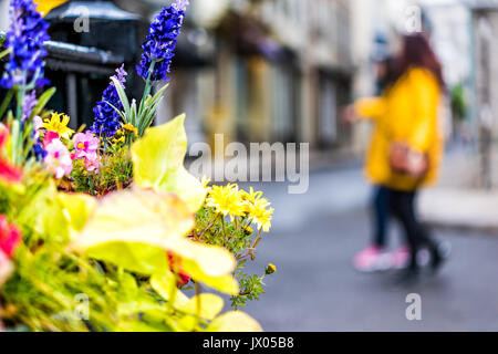 Bunte Blume erstellen closeup von lebendigen Calibrachoa und muscari Blumen auf Restaurant Geländer mit Bokeh von Menschen zu Fuß Stockfoto