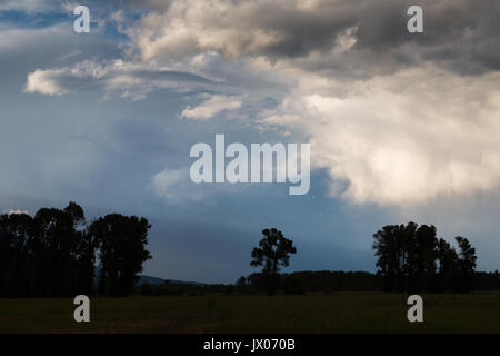 Ein großes Gewitter über cottonwood Bäumen auf einer Ranch in Jackson Hole, Wyoming. Stockfoto