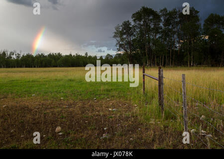 Ein Regenbogen über Aspen Bäume und einen Zaun auf einer Ranch in der Nähe von Teton Village, Wyoming. Stockfoto