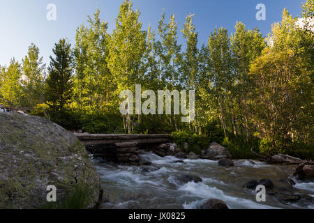 Eine Brücke über einen Bach und in Aspen Bäume entlang der Taggart Lake Trail in Jackson Hole. Der Grand Teton National Park, Wyoming Stockfoto