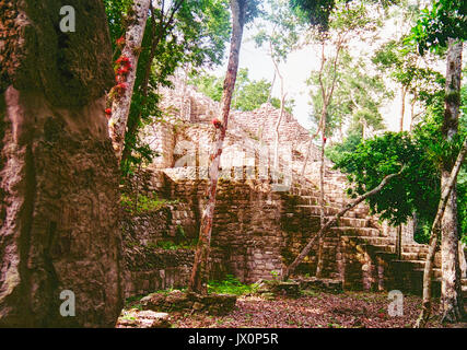 Alten Maya Ruinen von Calakmul, Campeche, Mexiko. Diese Ruinen wurden bei der Räumung der Dschungel overgroth und Beginn des Wiederaufbaus. Vintage photo - 1996 - Kodak Film Stockfoto