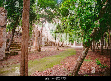 Alten Maya Ruinen von Calakmul, Campeche, Mexiko. Diese Ruinen wurden in den frühen heraus Löschen aller den Dschungel überwachsen und Beginn des Wiederaufbaus. Vintage photo - 1996 - Kodak Film Stockfoto