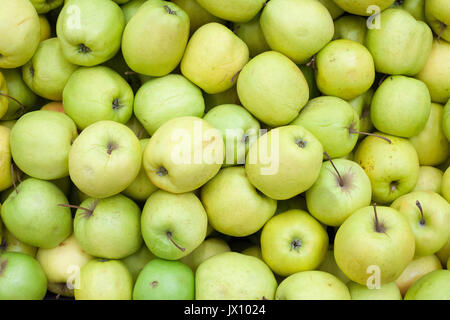 Äpfel Hintergrund Green Apple von rohem Obst und Gemüse Hintergründe overhead Perspektive Stockfoto