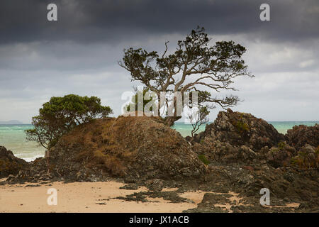 Rougth Kuaotunu Beach Norden Coromandel Halbinsel Stockfoto