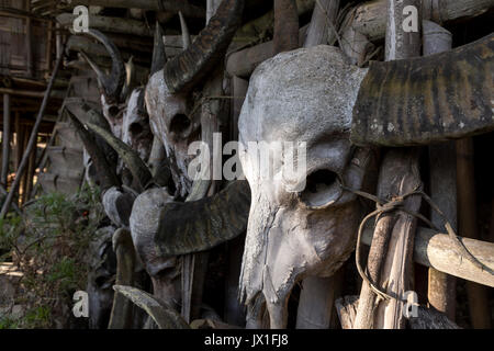 Traditionellen Langhaus, Paniduria Nocte Stamm, Kheti Dorf, Tirap District, Arunachal Pradesh, Indien Stockfoto