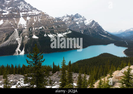 Die beeindruckenden blauen Gewässern des Peyto Lake im Banff Nationalpark der Kanadischen Rockies Alberta Kanada Stockfoto