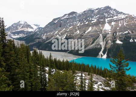 Die beeindruckenden blauen Gewässern des Peyto Lake im Banff Nationalpark der Kanadischen Rockies Alberta Kanada Stockfoto