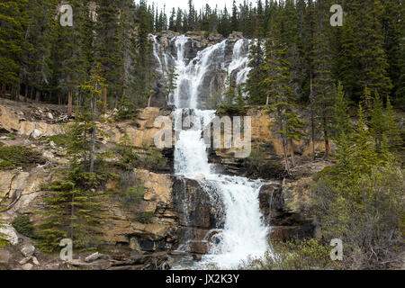 Die schöne Tangle Creek Falls auf dem Icefields Parkway in der Nähe von Jasper, Alberta, Kanada Stockfoto