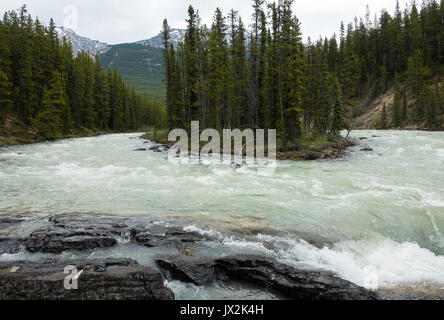 Die schöne Sunwapta fällt auf dem Icefields Parkway in Jasper National Park, Alberta, Kanada Stockfoto