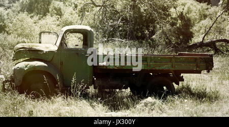 Rost alte Pick up Im scrub Boden gedumpten Stockfoto