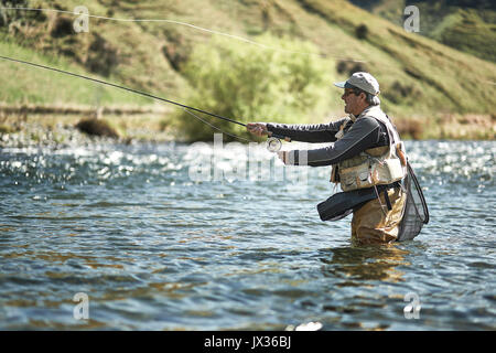 Man Fliegenfischen der Rangitikei River Central North Island. Stockfoto