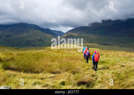 Ramblers Gruppe auf Carnedd y Cribau gewandert nach Pen Y Gwryd im Sonnenschein folgt Regen in den Bergen von Snowdonia National Park. Wales UK Stockfoto