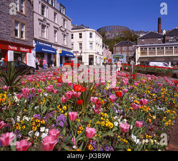 Bunte Szene in der malerischen Westküste Stadt Oban, Argyll Stockfoto