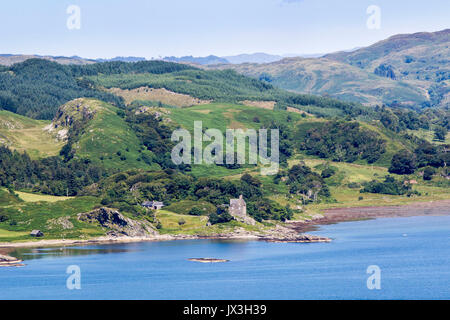 Blick von crinan Wald auf See Loch Stockfoto