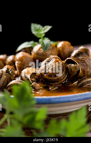 Nahaufnahme einer Keramik Schüssel mit spanischen Caracoles en Salsa, gekochte Schnecken in Soße, auf einem rustikalen Holztisch Stockfoto