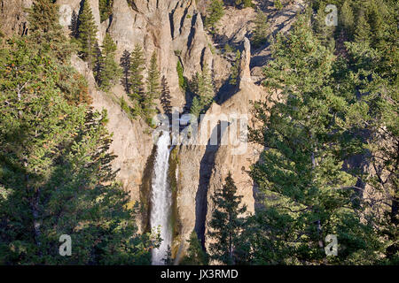 Turm fallen Yellowstone Stockfoto