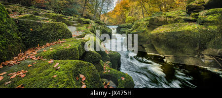 Bolton Abbey in den Yorkshire Dales. Stockfoto