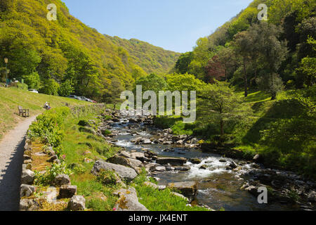 Wunderschöne Landschaft von Devon, von einem Spaziergang bis zum Watersmeet in der Nähe von Lynmouth am Fluss Lyn Stockfoto