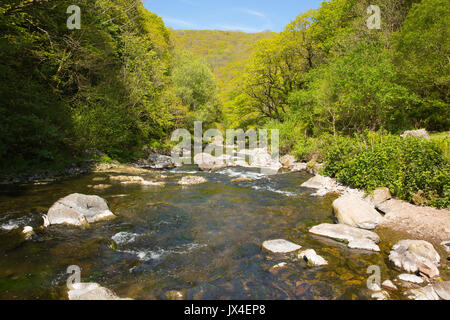 Wunderschöne Landschaft von Devon, von einem Spaziergang bis zum Watersmeet in der Nähe von Lynmouth am Fluss Lyn Stockfoto