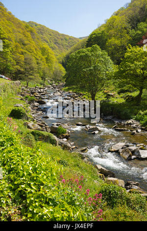 Wunderschöne Landschaft von Devon, von einem Spaziergang bis zum Watersmeet in der Nähe von Lynmouth am Fluss Lyn Stockfoto