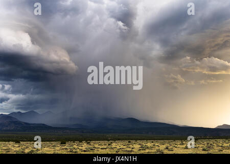 Regen und Hagel von einem Gewitter über Humphreys Peak in Flagstaff, Arizona Stockfoto