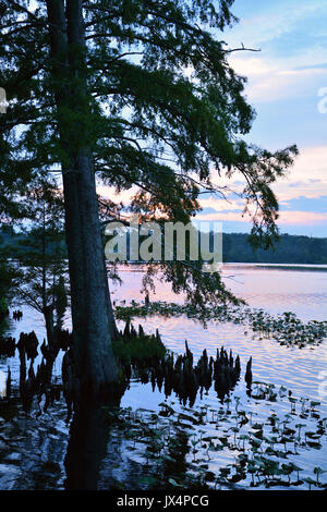 Der Perquiman River bei Sonnenuntergang in der kleinen Stadt Hertford North Carolina. Stockfoto