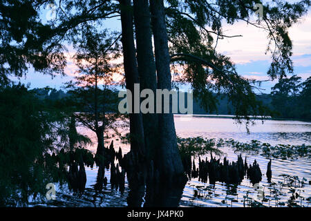 Der Perquiman River bei Sonnenuntergang in der kleinen Stadt Hertford North Carolina. Stockfoto