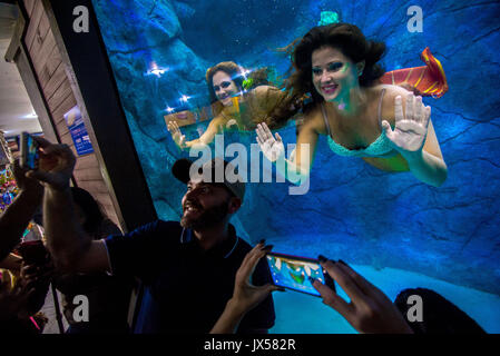 Sao Paulo, Brasilien. 14 Aug, 2017. Besucher sehen Sie mehrere Meerjungfrauen, während Sie sich in einem riesigen Tank während der Show in einem Aquarium in Sao Paulo, Brasilien Schwimmen. Credit: Cris Fafa/ZUMA Draht/Alamy leben Nachrichten Stockfoto