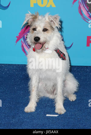 Los Angeles, Ca, USA. 13 Aug, 2017. Glücklich, bei den Teen Choice Awards 2017 Galen Center am 13. August 2017 in Los Angeles, Kalifornien. Credit: Faye Sadou/Medien Punch/Alamy leben Nachrichten Stockfoto